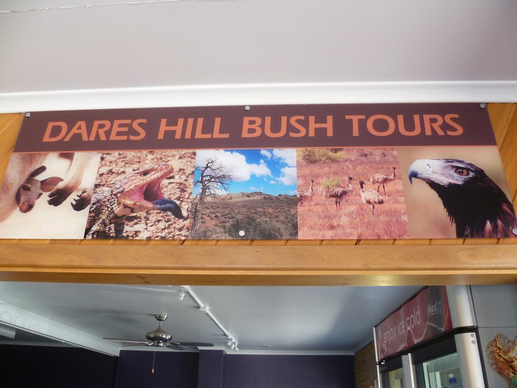 Norfolk Motor Inn Adelaide Dış mekan fotoğraf
